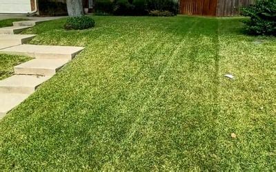 Lawn care colleyville tx  Get Quotes & Book Instantly
